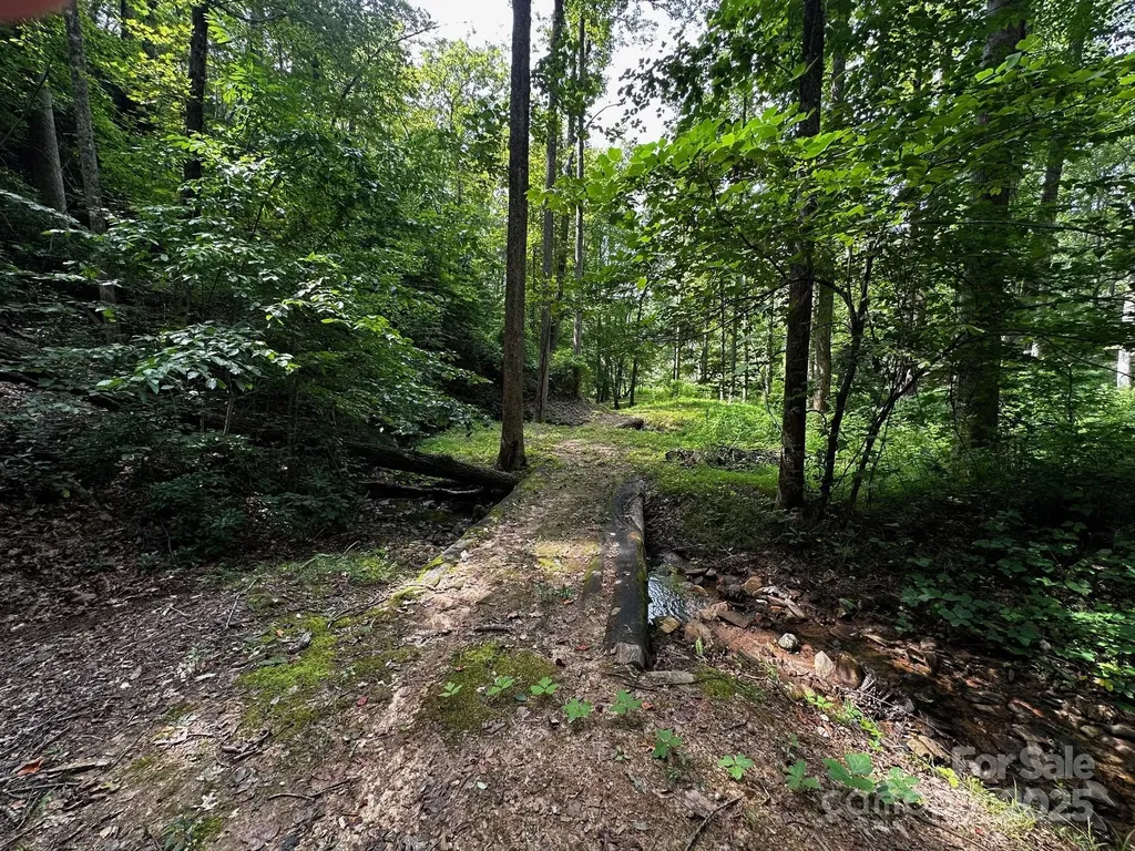 9999 Rock Ledge Drive Lake Lure NC 28746