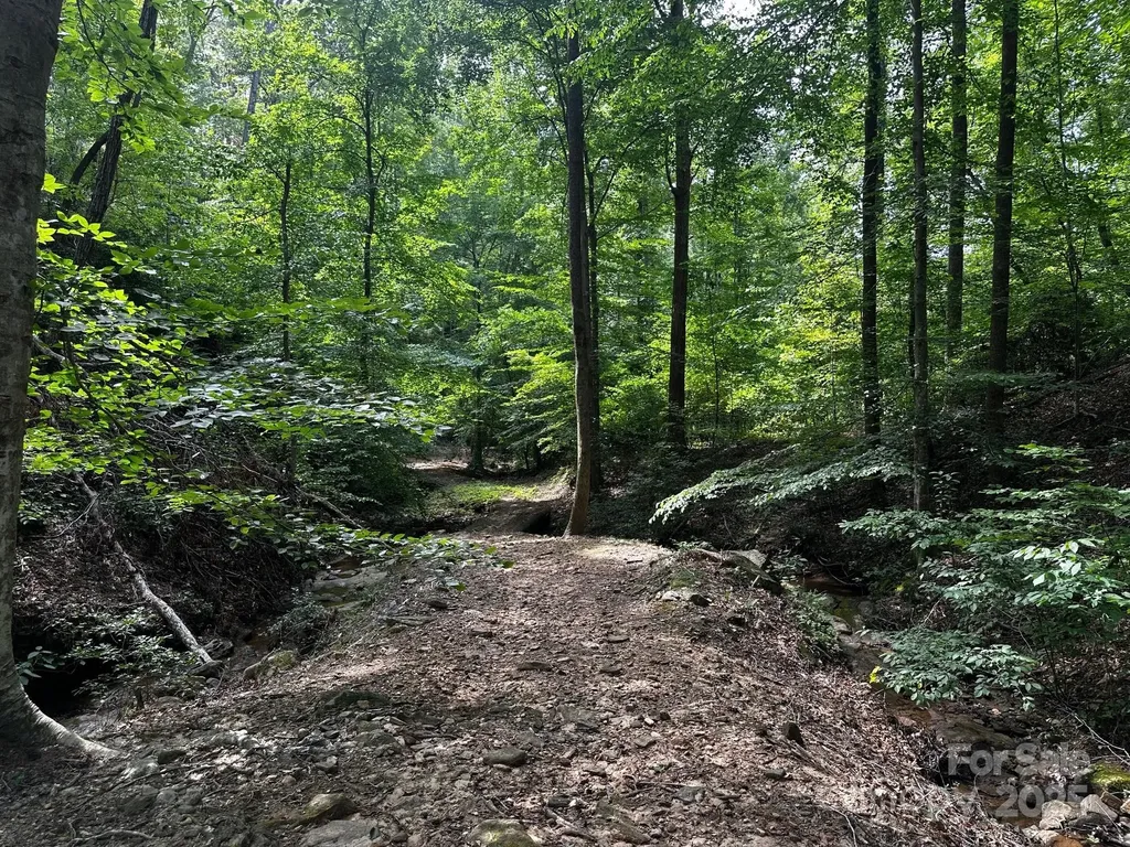 9999 Rock Ledge Drive Lake Lure NC 28746
