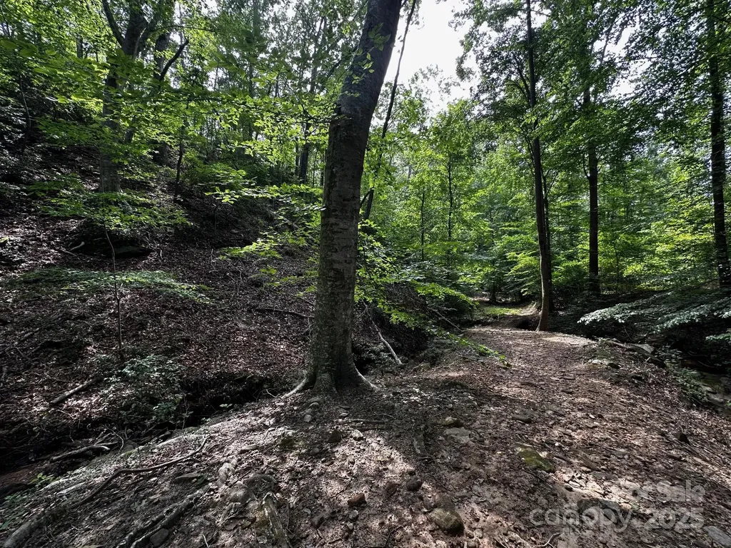 9999 Rock Ledge Drive Lake Lure NC 28746