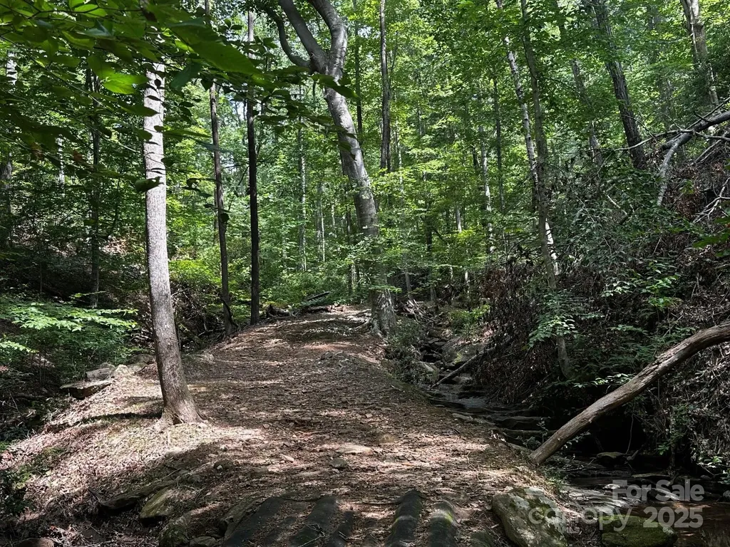 9999 Rock Ledge Drive Lake Lure NC 28746