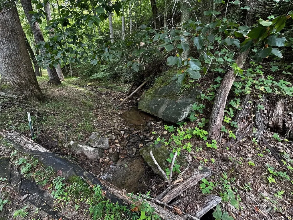 9999 Rock Ledge Drive Lake Lure NC 28746