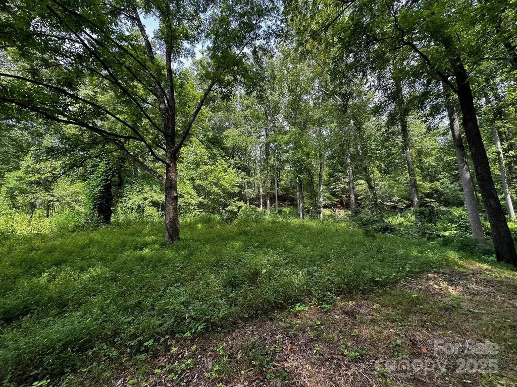 9999 Rock Ledge Drive Lake Lure NC 28746