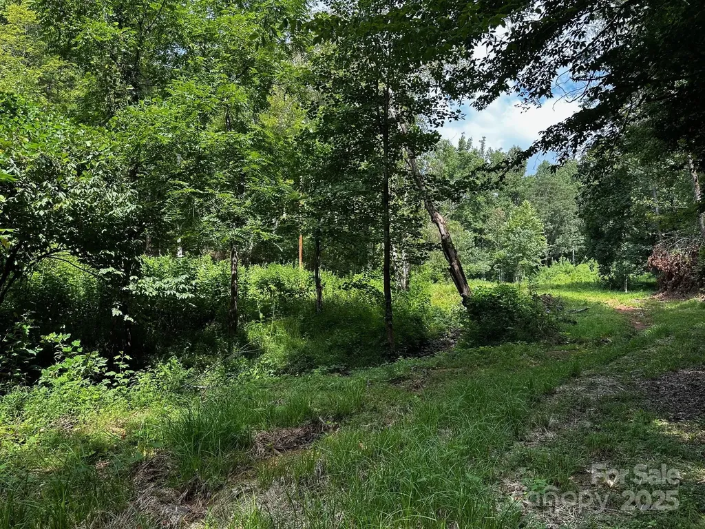 9999 Rock Ledge Drive Lake Lure NC 28746