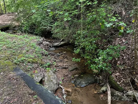 9999 Rock Ledge Drive Lake Lure NC 28746
