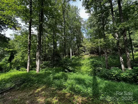 9999 Rock Ledge Drive Lake Lure NC 28746