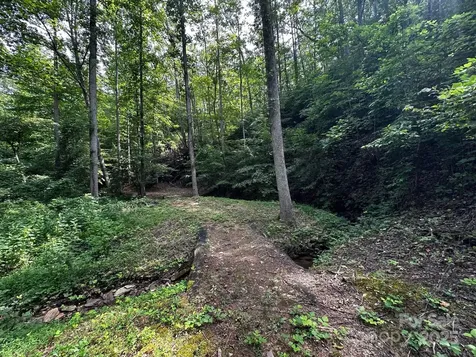 9999 Rock Ledge Drive Lake Lure NC 28746