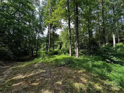 9999 Rock Ledge Drive Lake Lure NC 28746