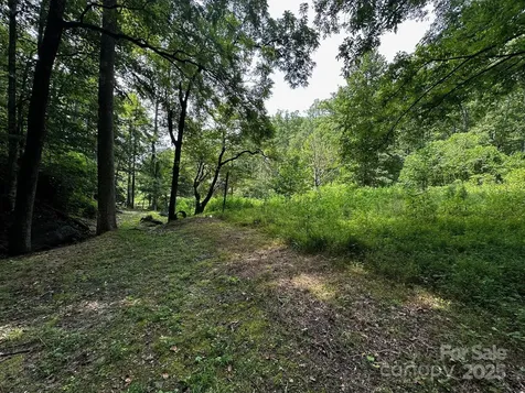 9999 Rock Ledge Drive Lake Lure NC 28746
