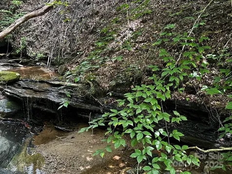 9999 Rock Ledge Drive Lake Lure NC 28746