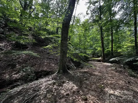 9999 Rock Ledge Drive Lake Lure NC 28746