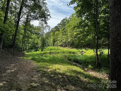 9999 Rock Ledge Drive Lake Lure NC 28746
