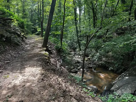 9999 Rock Ledge Drive Lake Lure NC 28746