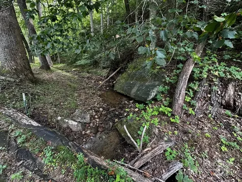 9999 Rock Ledge Drive Lake Lure NC 28746