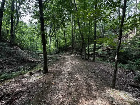 9999 Rock Ledge Drive Lake Lure NC 28746