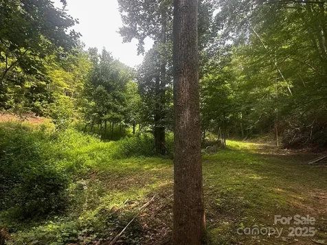 9999 Rock Ledge Drive Lake Lure NC 28746