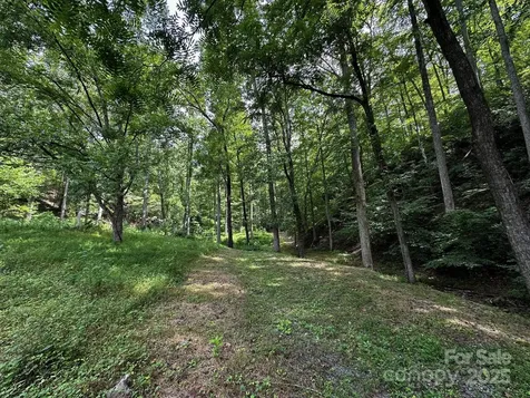 9999 Rock Ledge Drive Lake Lure NC 28746