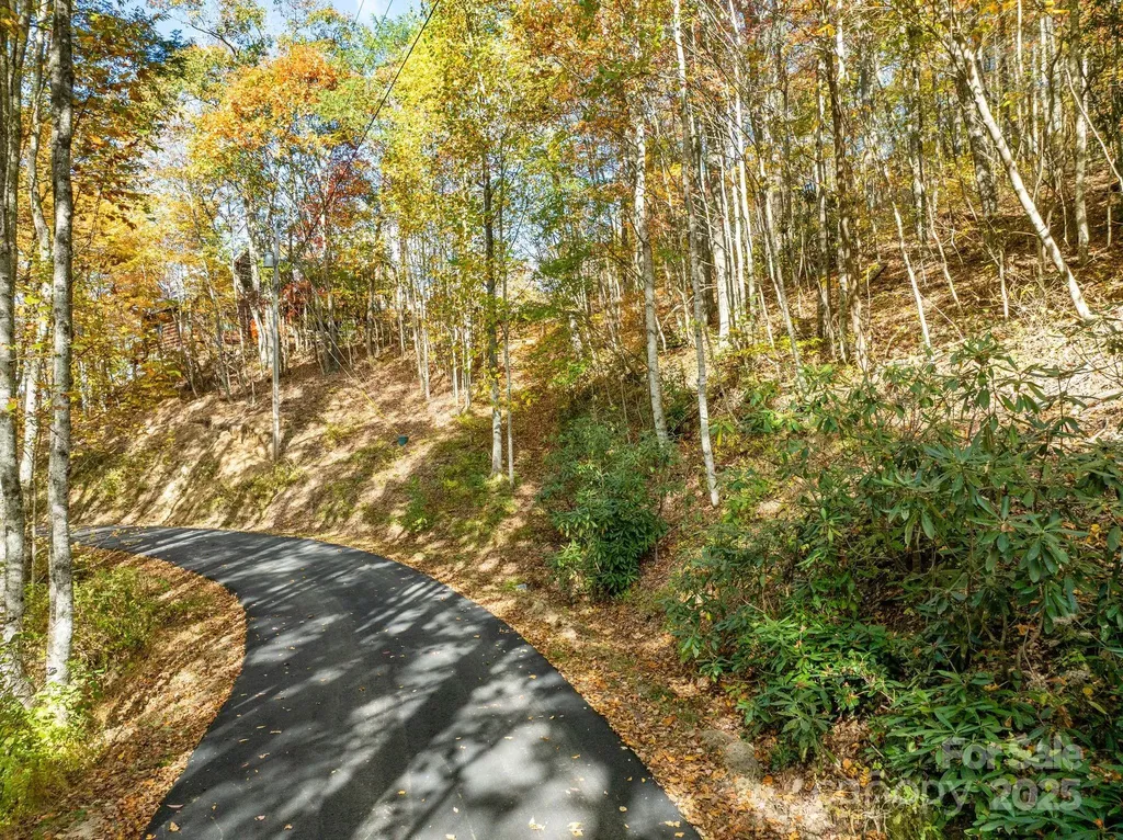 99999 Lytle Cove Road Swannanoa NC 28778