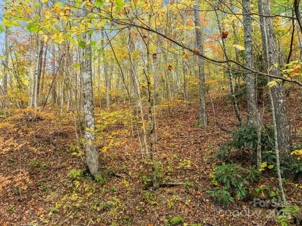 99999 Lytle Cove Road Swannanoa NC 28778