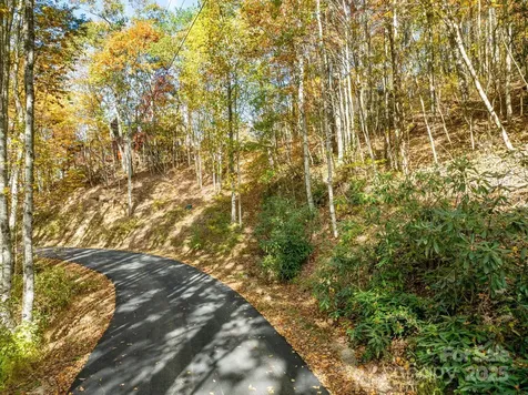 99999 Lytle Cove Road Swannanoa NC 28778