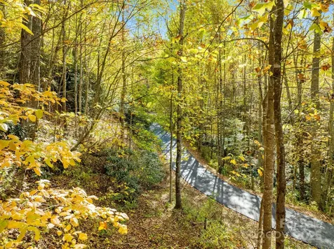 99999 Lytle Cove Road Swannanoa NC 28778