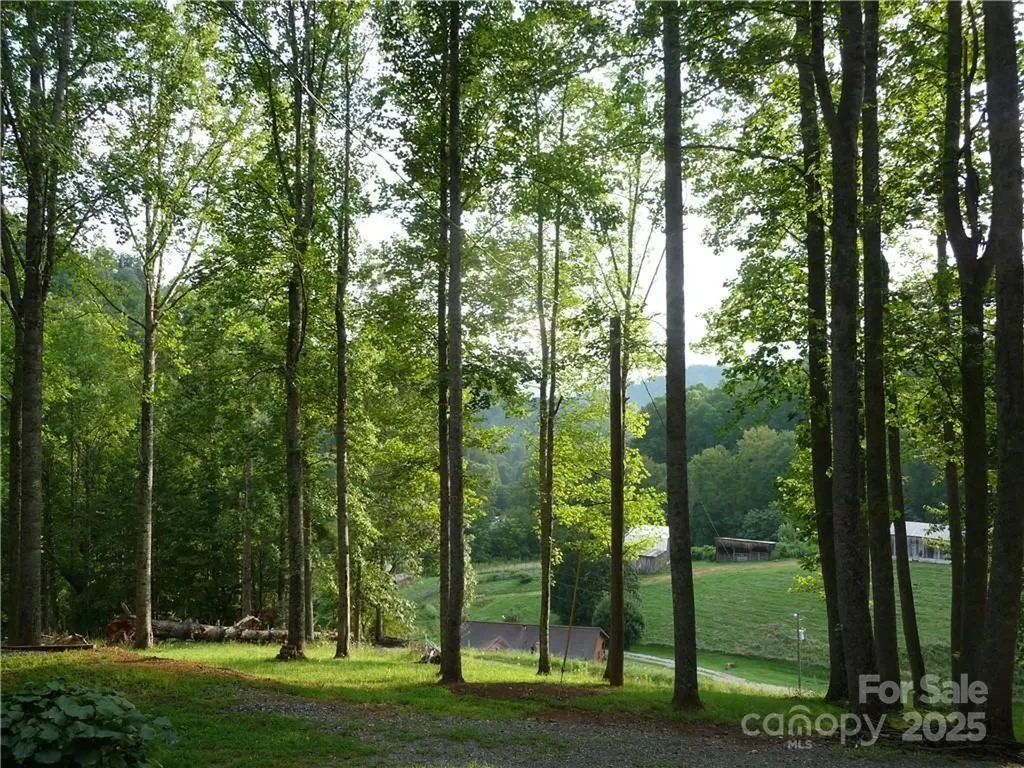 0 Joe Shoemaker Road Vilas NC 28692