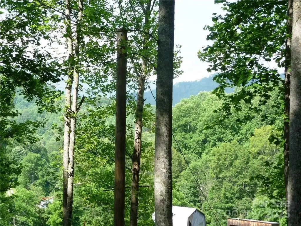 0 Joe Shoemaker Road Vilas NC 28692