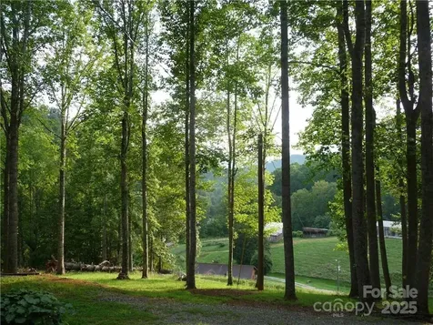 0 Joe Shoemaker Road Vilas NC 28692