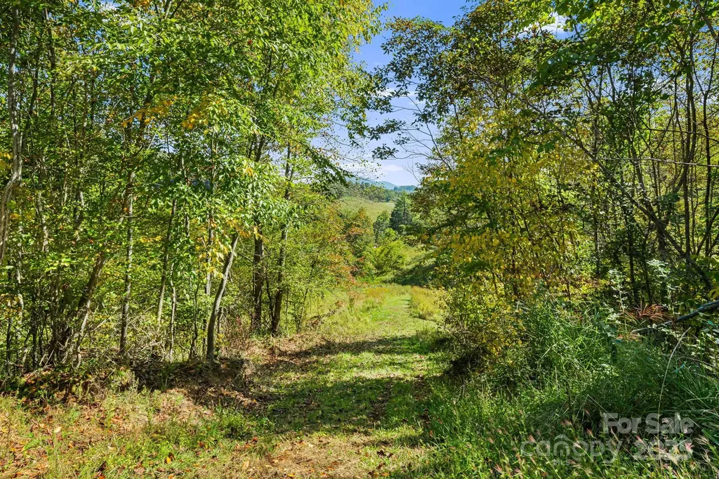 456 & 000 Maney Branch Road Burnsville NC 28714