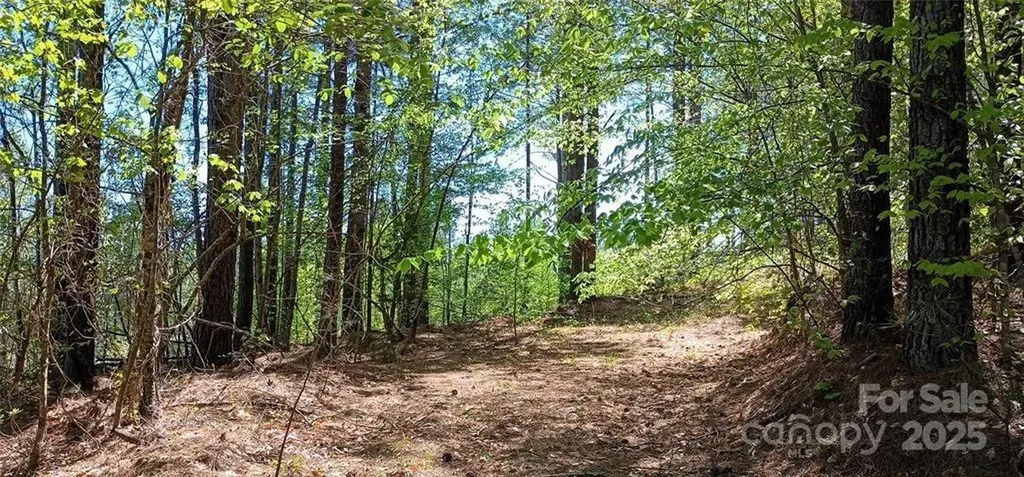 158 Table Rock Trace NW Valdese NC 28690