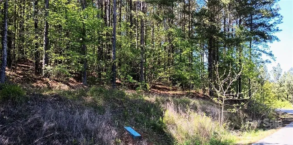 158 Table Rock Trace NW Valdese NC 28690
