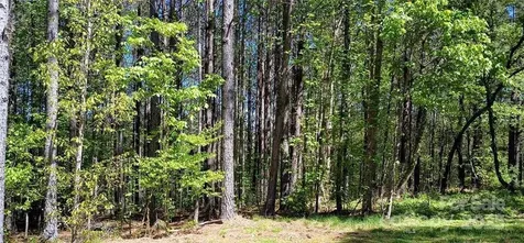 158 Table Rock Trace NW Valdese NC 28690