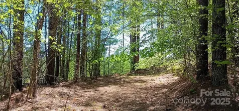 158 Table Rock Trace NW Valdese NC 28690