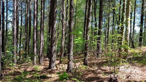 158 Table Rock Trace NW Valdese NC 28690