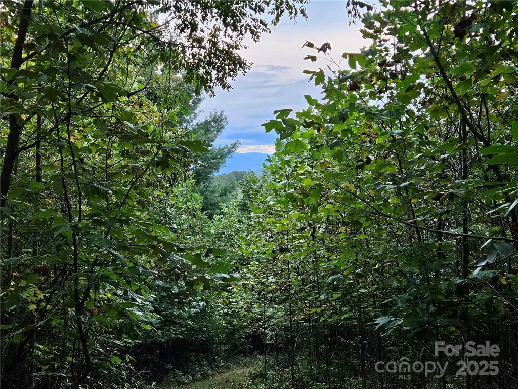 000 Double Island Road Green Mountain NC 28740