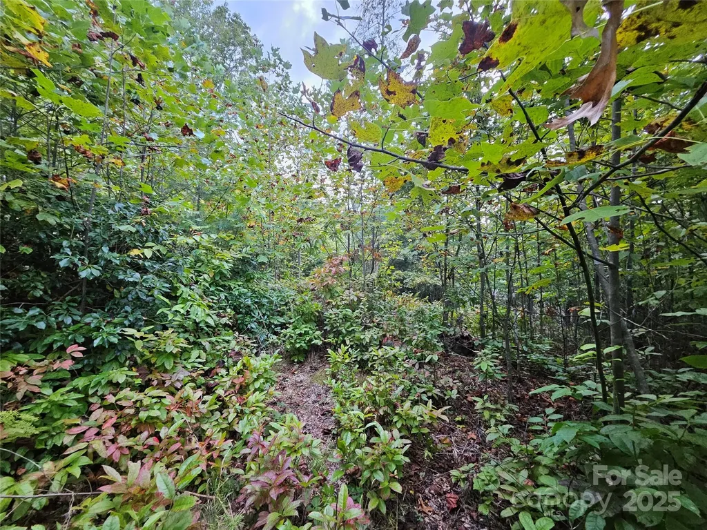 000 Double Island Road Green Mountain NC 28740