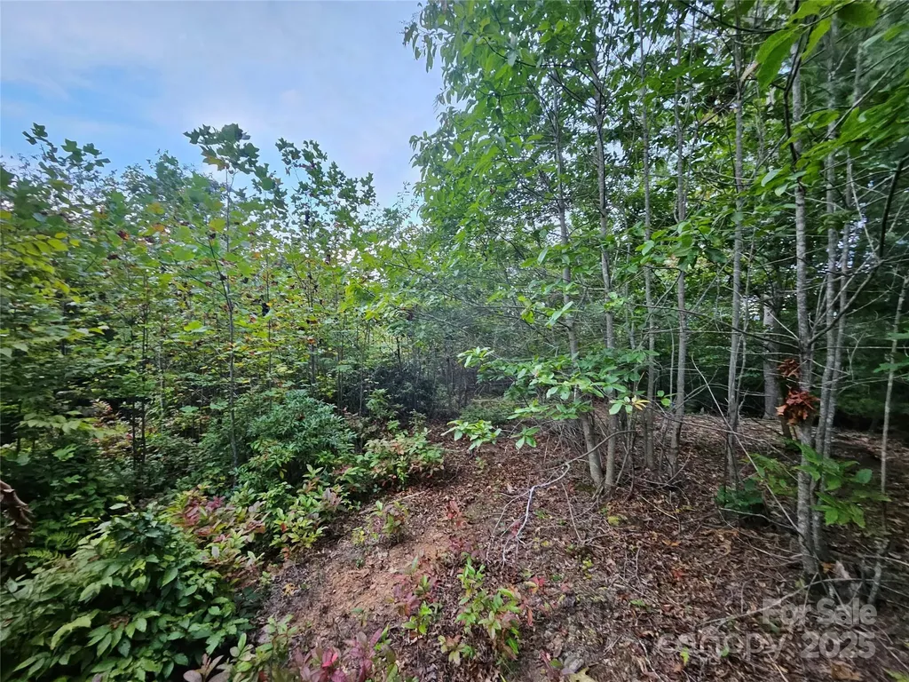 000 Double Island Road Green Mountain NC 28740
