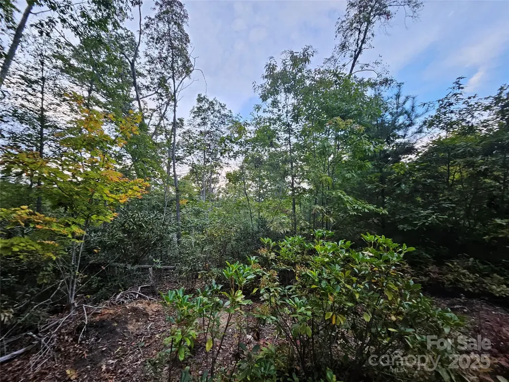000 Double Island Road Green Mountain NC 28740