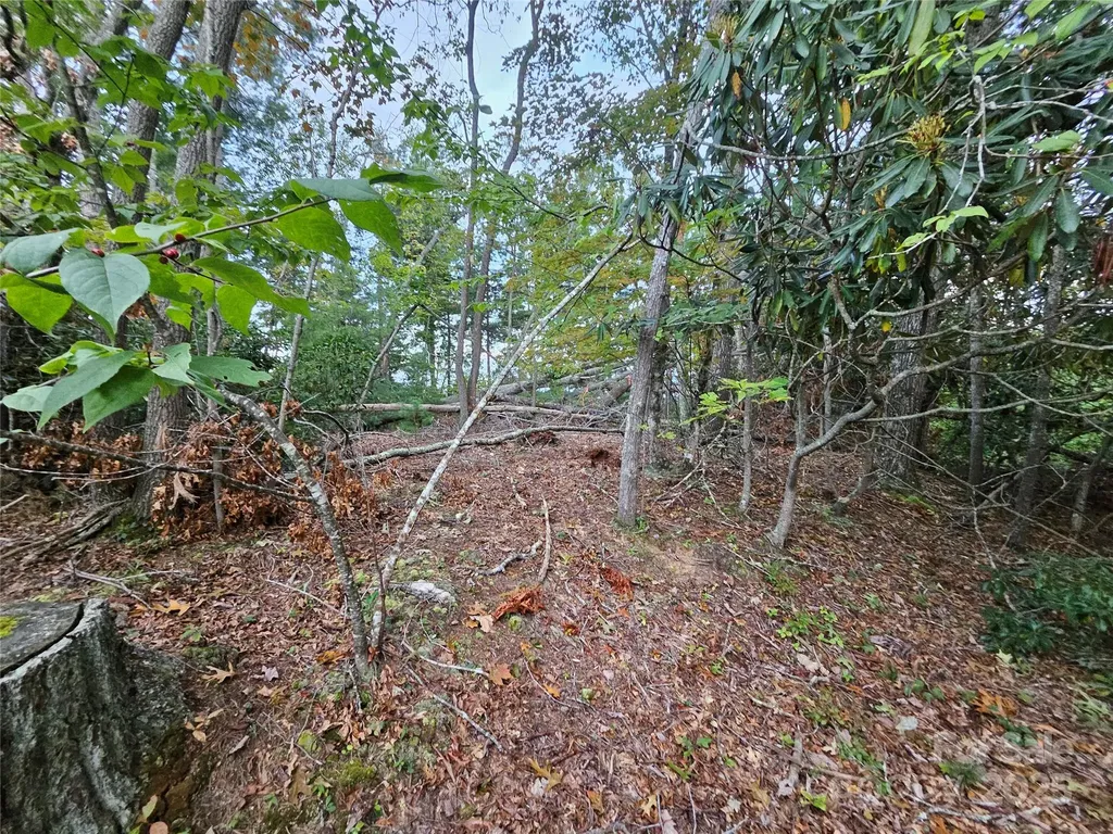 000 Double Island Road Green Mountain NC 28740