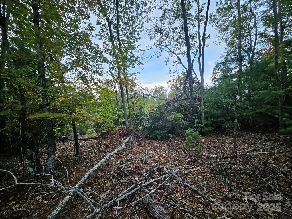 000 Double Island Road Green Mountain NC 28740