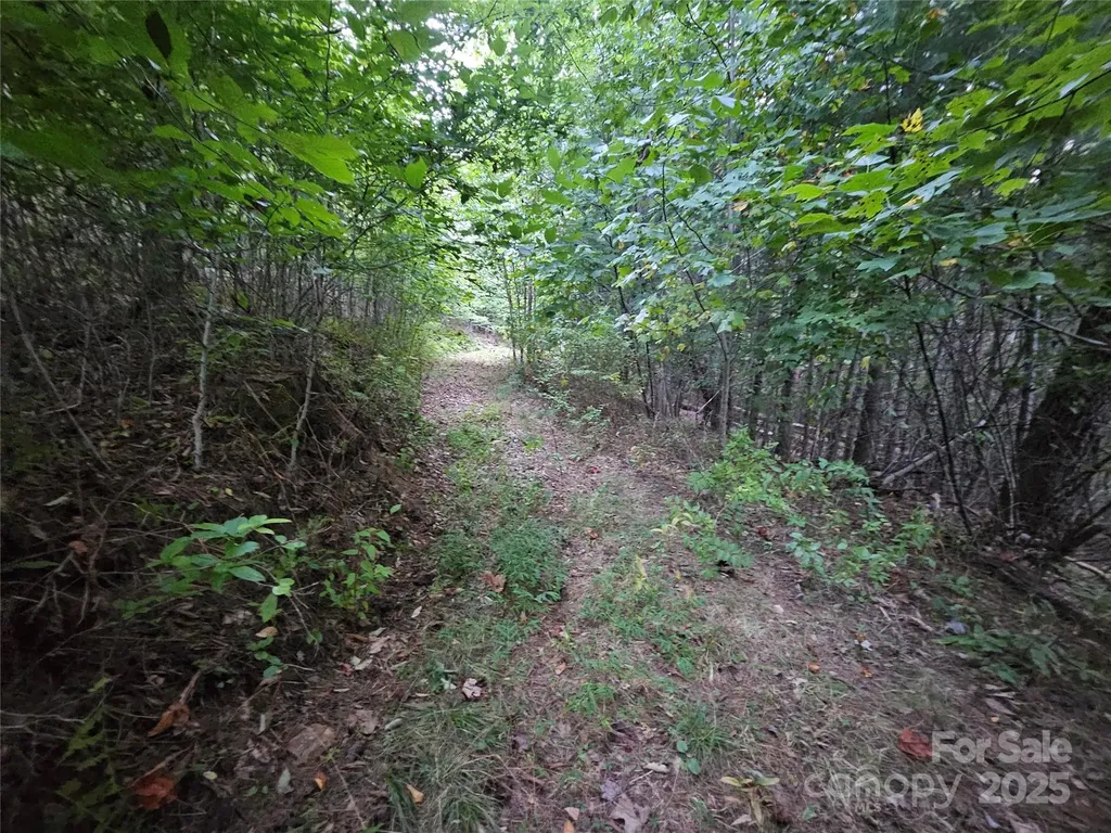 000 Double Island Road Green Mountain NC 28740