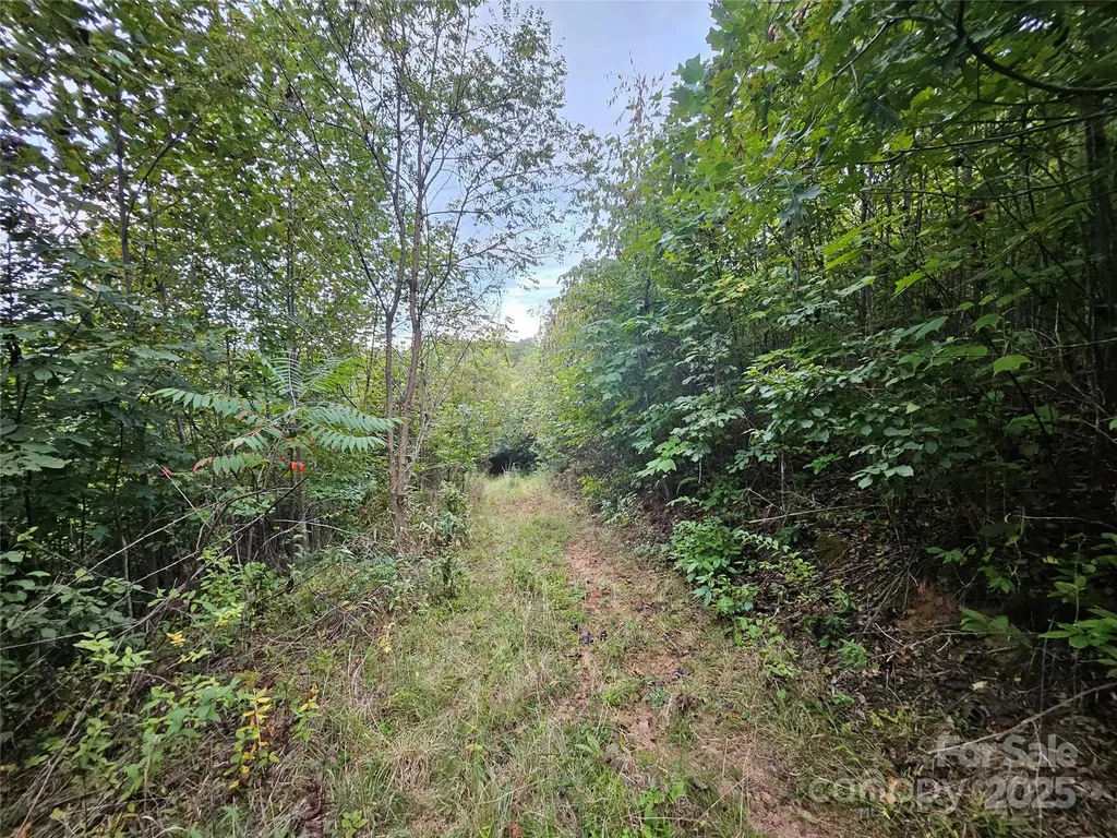 000 Double Island Road Green Mountain NC 28740