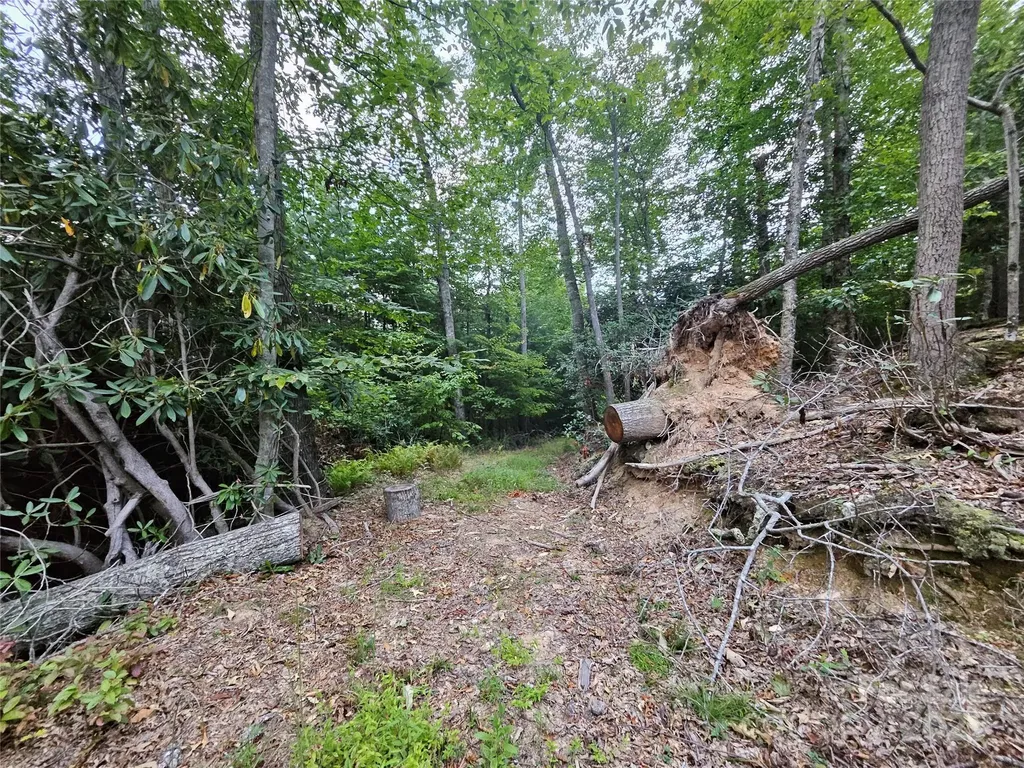 000 Double Island Road Green Mountain NC 28740