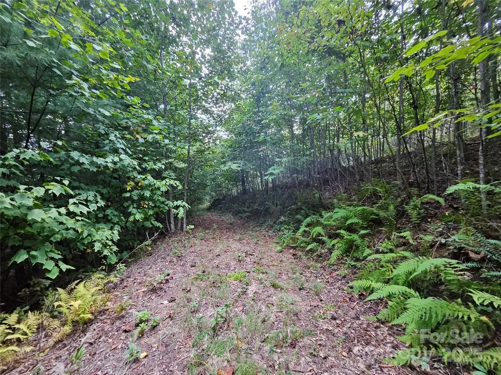 000 Double Island Road Green Mountain NC 28740