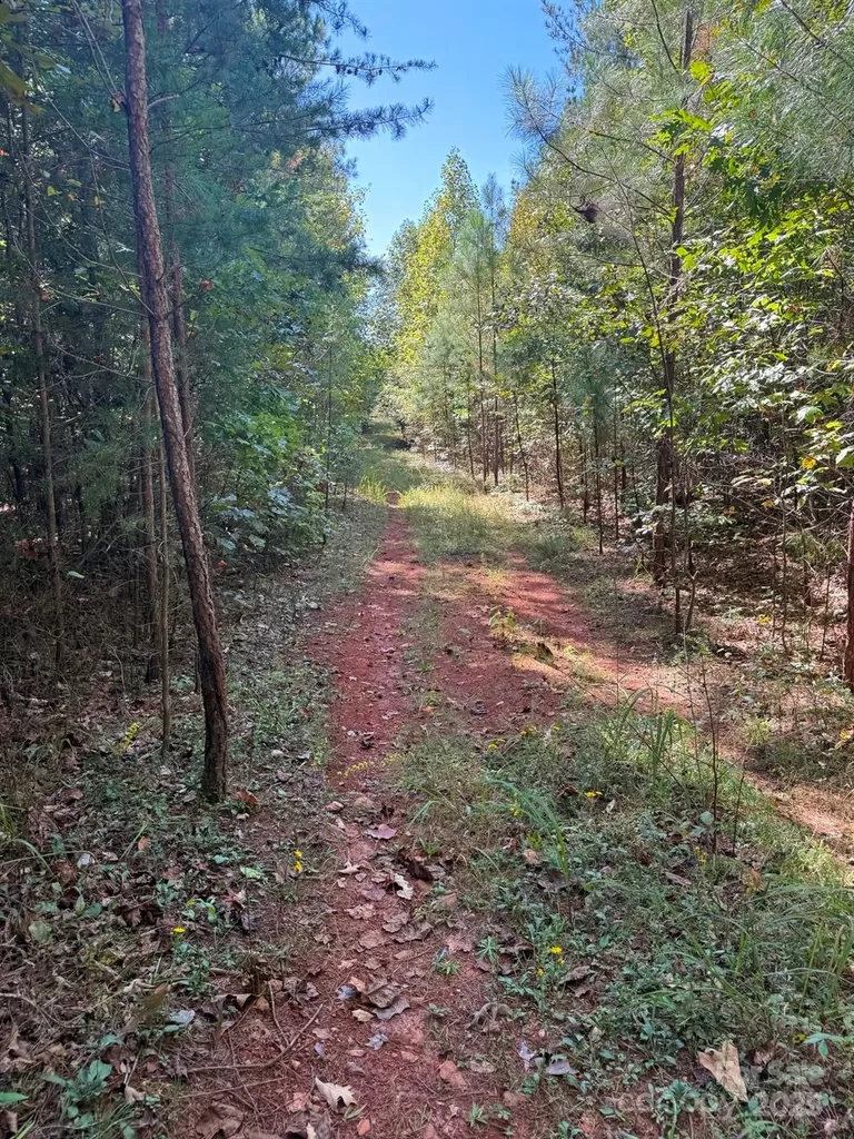 1178 Pea Ridge Road Mill Spring NC 28756