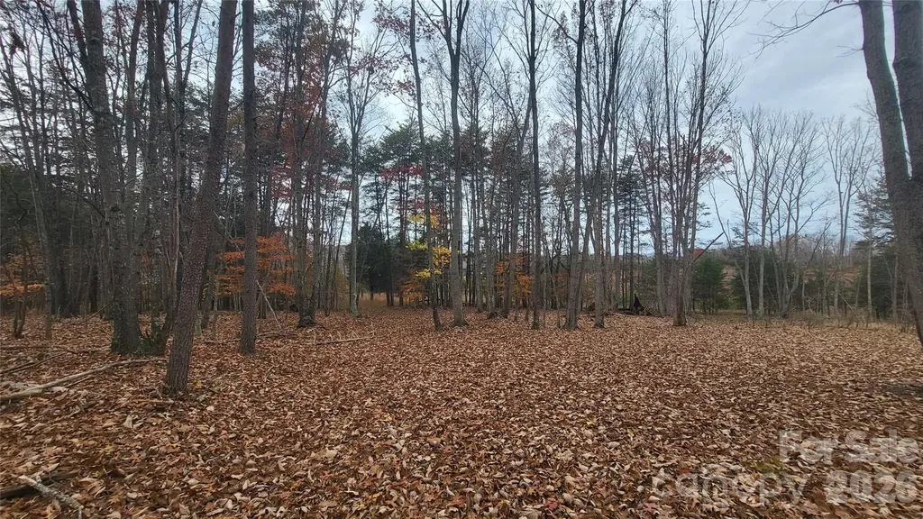 1056 Stephens Trail Road Sandy Ridge NC 27046