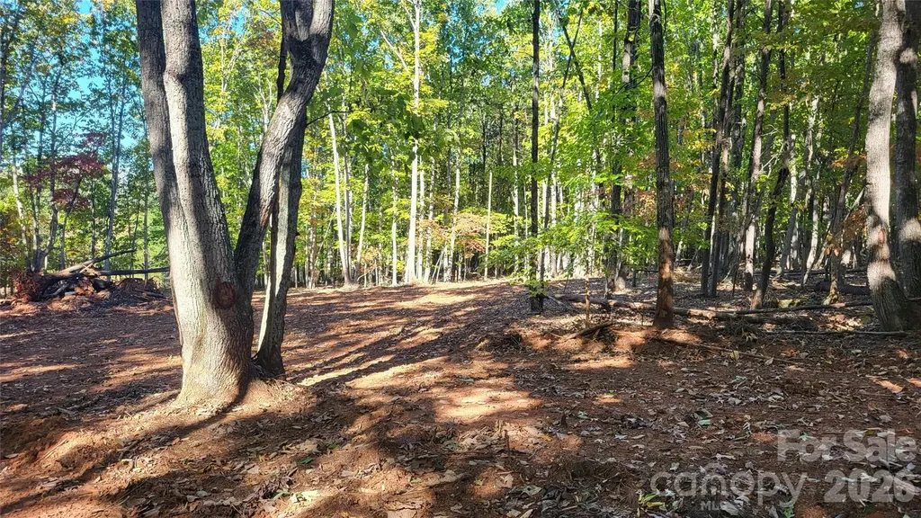 1056 Stephens Trail Road Sandy Ridge NC 27046