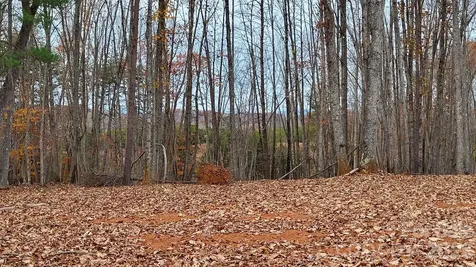 1056 Stephens Trail Road Sandy Ridge NC 27046