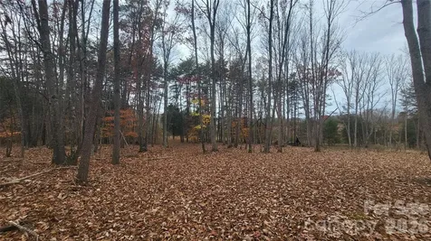 1056 Stephens Trail Road Sandy Ridge NC 27046