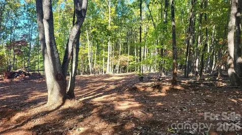 1056 Stephens Trail Road Sandy Ridge NC 27046