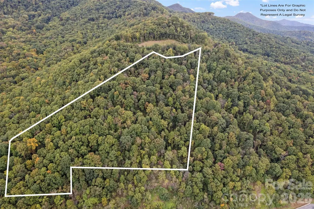 1505 Summit View Drive Canton NC 28716